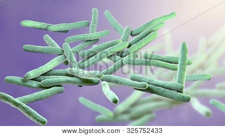Mycobacterium Leprae Bacteria, The Causative Agent Of Leprosy, 3d Illustration