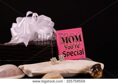 Beautiful Diamond Earrings On Stone With Mom You're Special Mini Message Book And Decorated  Brown L
