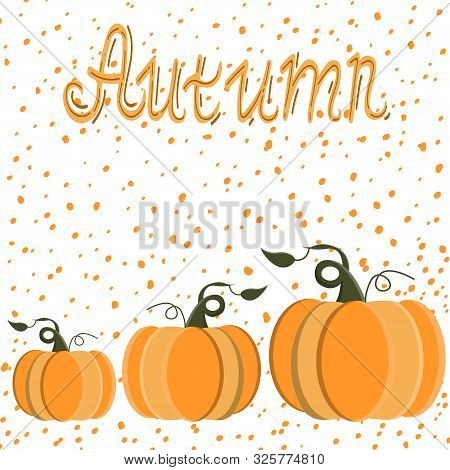 Pumpkins Seamless Pattern With Lettering. Autumn Background. Vector.