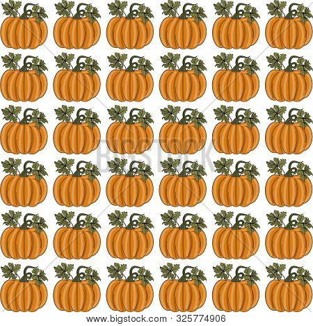 Pumpkins Seamless Pattern With Lettering. Autumn Background. Vector.