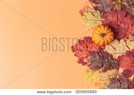 Autumn Colorful Leaves On Orange Background. Fall Yellow, Orange, Red Leaves And Mini Orange Pumpkin