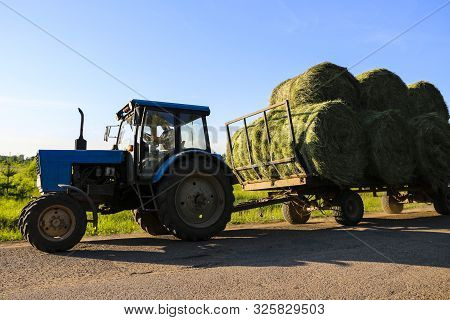 Tractor Driven Fresh Hay Rolled, After Seasonal Harvesting