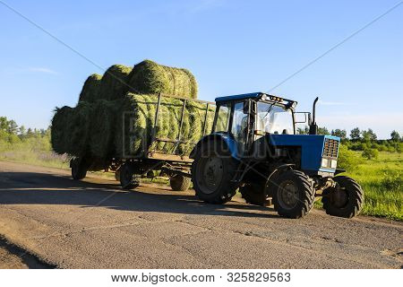 Tractor Driven Fresh Hay Rolled, After Seasonal Harvesting
