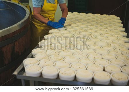 Cheesemaker forming product on a factory