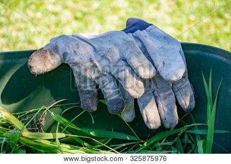 Green Bin Container Filled With Garden Waste. Dirty Gardening Gloves. Spring Clean Up In The Garden.