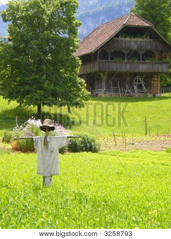 Scarecrow And  Rural Farmhouse
