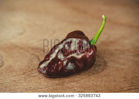 Photo Of Chocolate Habanero Pepper (capsicum Chinense) On A Wooden Table. Chocolate Brown Hot Chili 