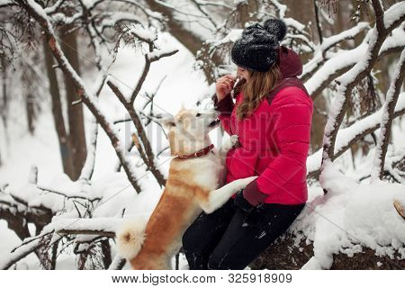 Portrait With A Cute Fluffy Puppy. Winter Walk With A Dog. Young Woman Walks With The Puppy, Snowy W