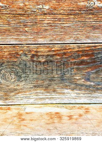 The Structure Of Piece Of Wood. Shot From Close View.