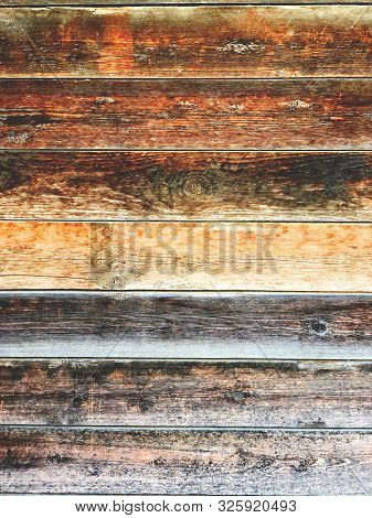 The Structure Of Piece Of Wood. Shot From Close View.