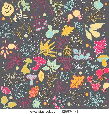 Illustration Autumn Background. Drawing Of Leaves And Fruits For The Background, For Souvenirs, Text
