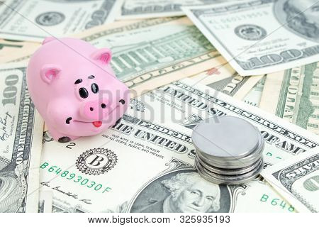 Pink Piggy Bank, Dollars On A White Background. Savings Concept, Fundraising. Coins