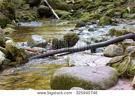 View Of Szklarka River In A Forest In Giant Mountains, Poland