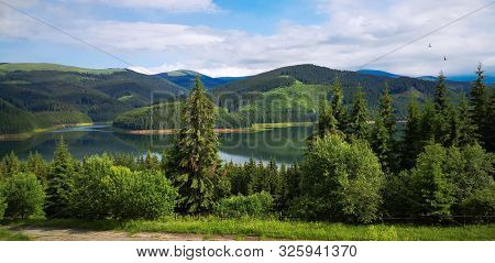 Vidra Lake In The Summer At Noon