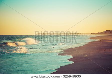 A Lone Seagull Standing On The Sand Of A Beach In Front Of Beach Homes In The Evening Light.