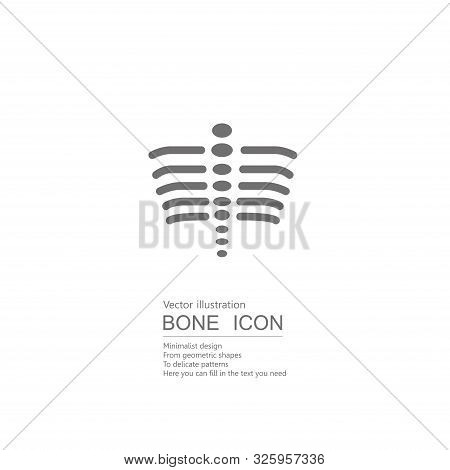 Vector Drawn Sternum. Isolated On White Background.