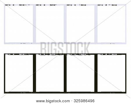 Film Strip Template, Empty Developed Black And White 120 Type (60mm) With 6x4.5 Frames In Negative A