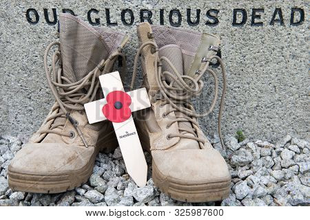 Lest We Forget: From The Fields Of Flanders To The Fields Of Helmand The Poppies Have Grown.  A Pair