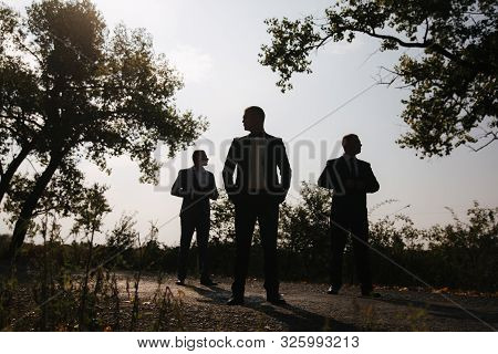 Silhouette Of Tree Man In Suit Outside