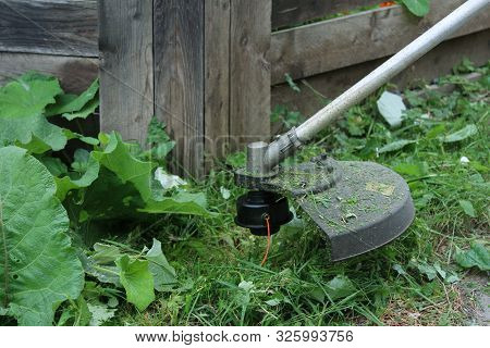Close-up Trimmer Mows Grass. Garden Care. Summer