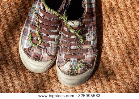 Shoes with various burrs stuck on them after a walk