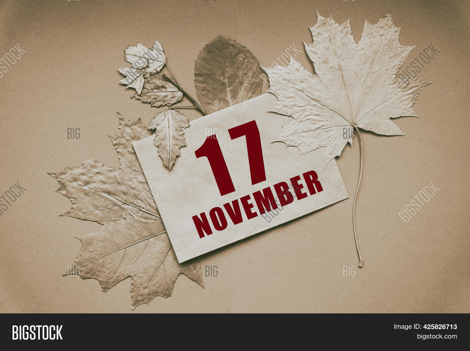 November 17 17th Day Image Photo Free Trial Bigstock