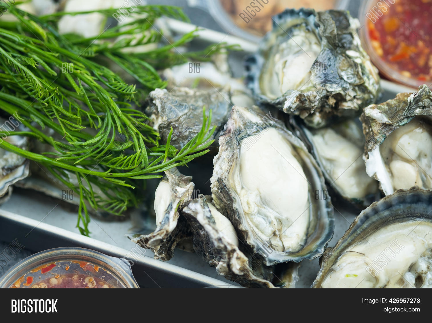 Fresh Raw Oyster Image & Photo (Free Trial) Bigstock