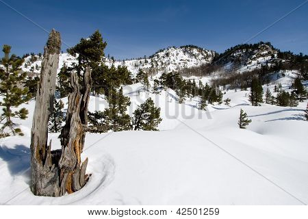 Doğal Park, Larra-belagua, Navarra, Spain