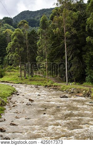 Piedras River Basin, La Ceja, Antioquia - Colombia.