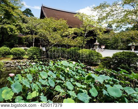 Otsu, Japan - August 21, 2018: Lotus Flowers Blooming On The Grounds Of Miidera Temple