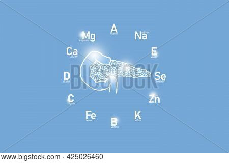 Stylized Clockface With Essential Vitamins And Microelements For Human Health, Hand Drawn Human Panc