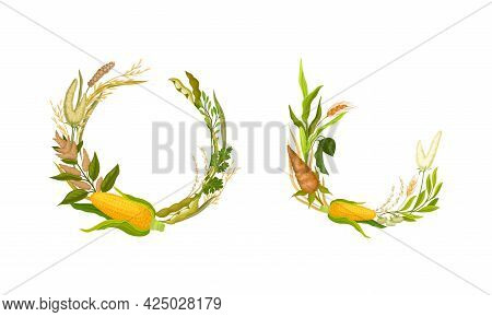 Agricultural Composition With Different Spikelet And Grain Crop Like Corn And Wheatear Vector Set