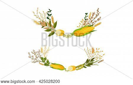 Agricultural Composition With Different Spikelet And Grain Crop Like Corn And Wheatear Vector Set
