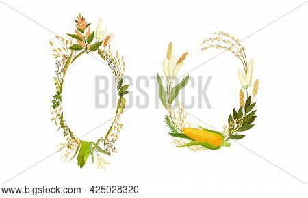 Agricultural Composition With Different Spikelet And Grain Crop Like Corn And Wheatear Vector Set