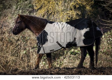 Faux boeuf