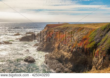 Scenic Coastal Landscape In Pomo Bluffs Park, California