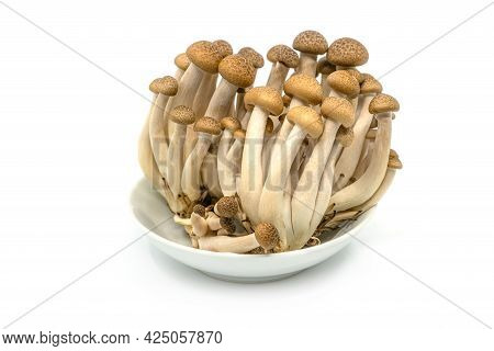 Close Up Bunch Of Brown Beech Mushrooms Or Shimeji Mushroom Or Bunna-shimeji In White Small Plate On