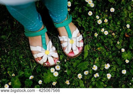 Close-up Of Summer Shoes For Little Girl With Daisy Flowers. Child On Green Grass With Daisies.