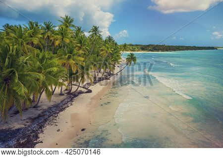 Beautiful Caribbean Beach On Saona Island, Dominican Republic. Aerial View Of Tropical Idyllic Summe