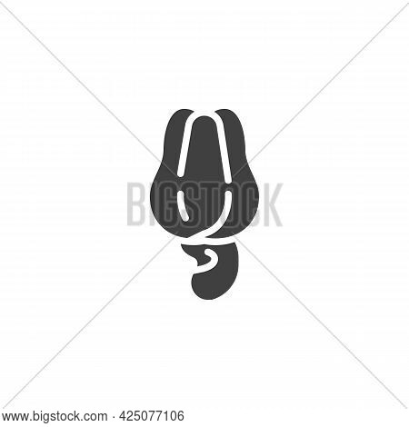 Cashew Nut Vector Icon. Filled Flat Sign For Mobile Concept And Web Design. Fresh Cashew Glyph Icon.