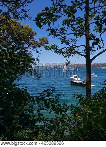 Sydney Harbour viewed from Glifton Gardens Beach NSW Australia turquoise blue colour of the ocean an