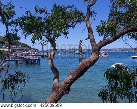 Sydney Harbour viewed from Glifton Gardens Beach NSW Australia turquoise blue colour of the ocean an