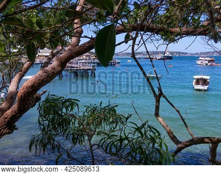 Sydney Harbour viewed from Glifton Gardens Beach NSW Australia turquoise blue colour of the ocean an
