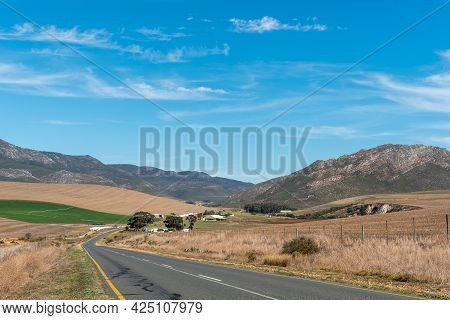 Farm Landscape On Road R320 Between Caledon And Stanford In The Cape Province