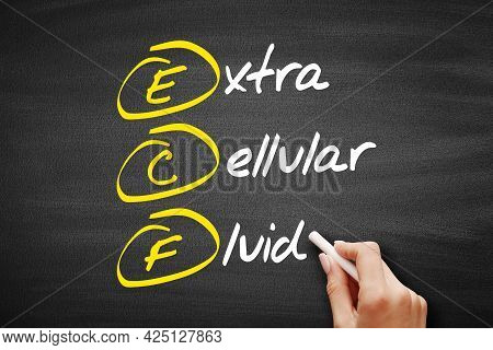 Ecf - Extracellular Fluid, Acronym Concept On Blackboard