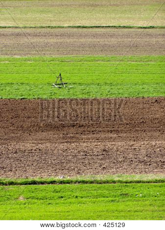 Lente velden landschap