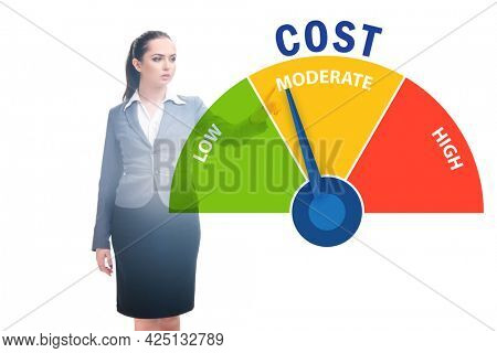 Businesswoman in cost management concept