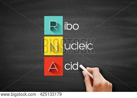 Rna - Ribonucleic Acid Acronym, Medical Concept Background On Blackboard