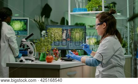 Scientist Chemist Injecting Tomato With Pesticides Using Medical Syringe For Genetic Microbiology Ex