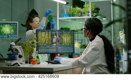 Biologist Researcher Typing Gmo Expertise On Computer For Scientific Microbiology Experiment. Medica